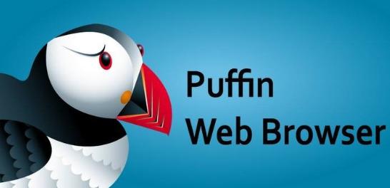 puffin浏览器？